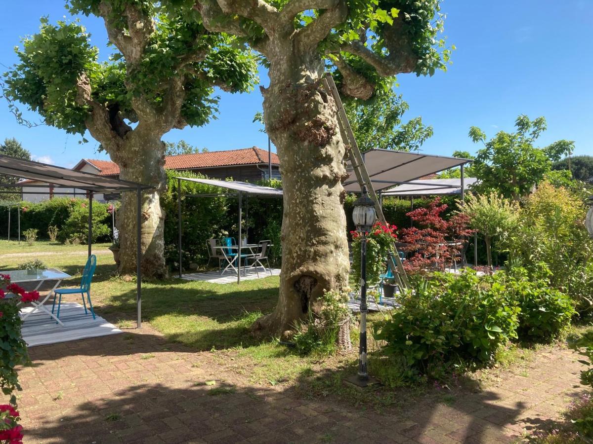 Entre Mer Et Pins Saint-Julien-en-Born Exterior photo